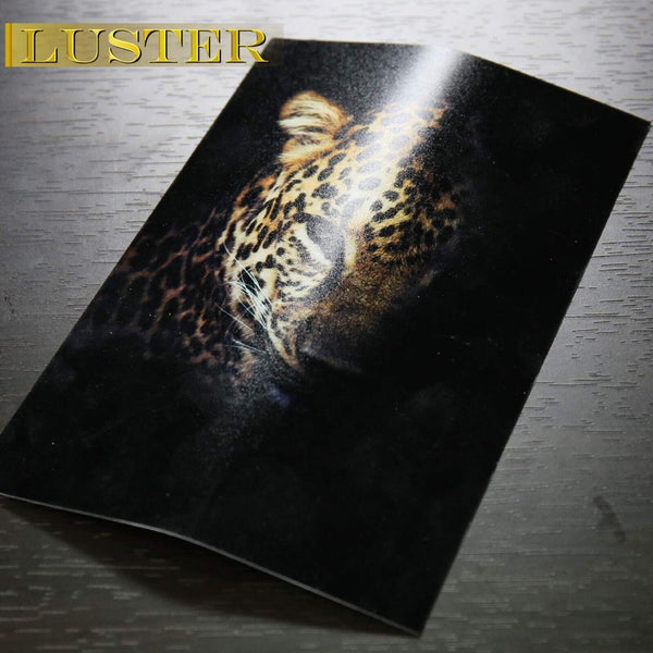 A-SUB Luster Resin-Coated Photo Paper 8.5"x11" 66lb 250gsm for inkjet 50 sheets - A-SUB